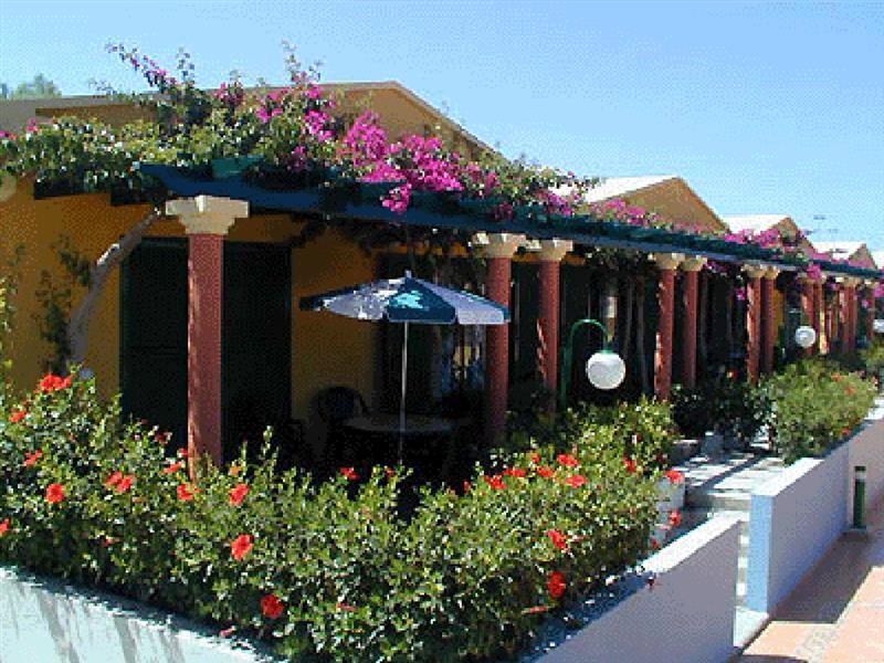 Bungalow En Complejo Tranquilo En Maspalomas Maspalomas  Zewnętrze zdjęcie